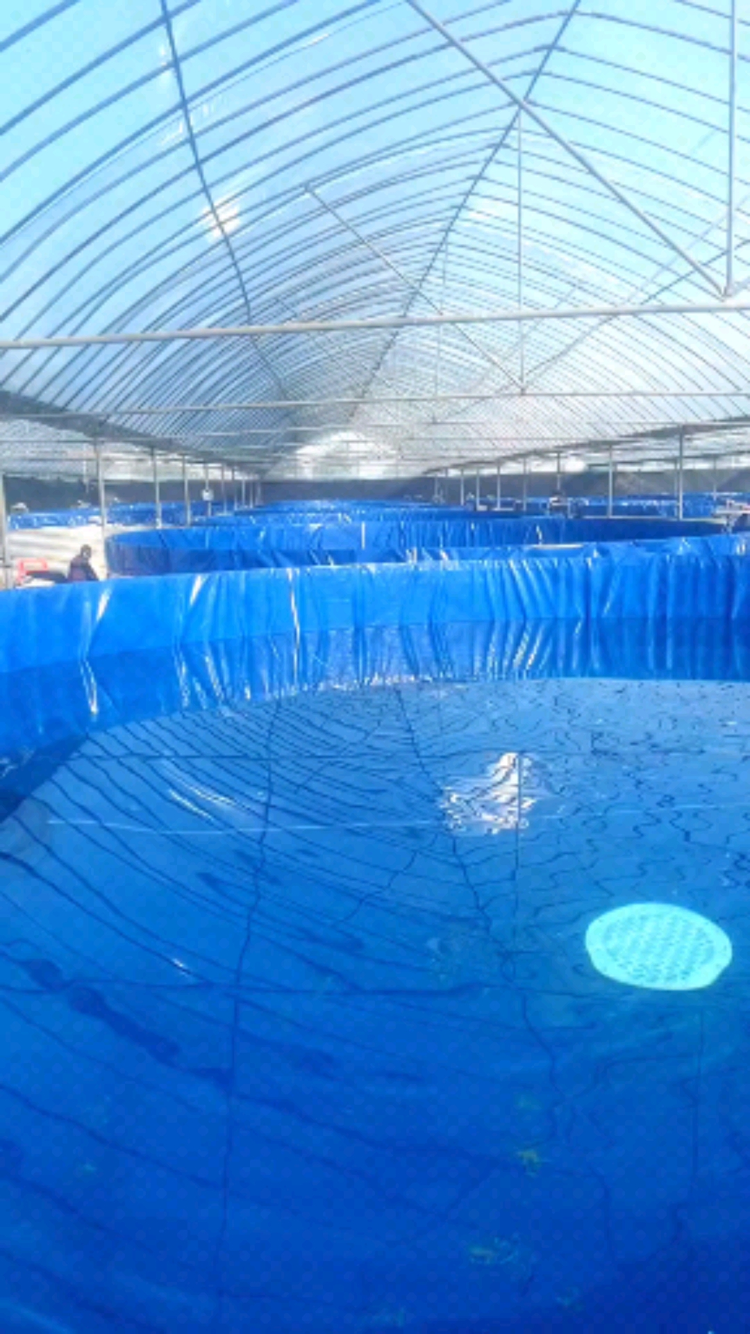 高密度养鱼#30套陆地高密度养鱼池安装完成,这种新型养鱼是近来流行