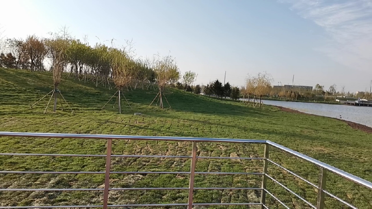 沈阳中德公园中心湖!有鱼没!