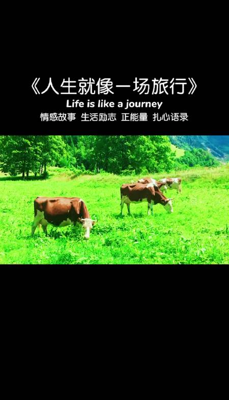 人生就像一场旅行,沿途的风景决定了你到达终点的心情,遇见都是天意