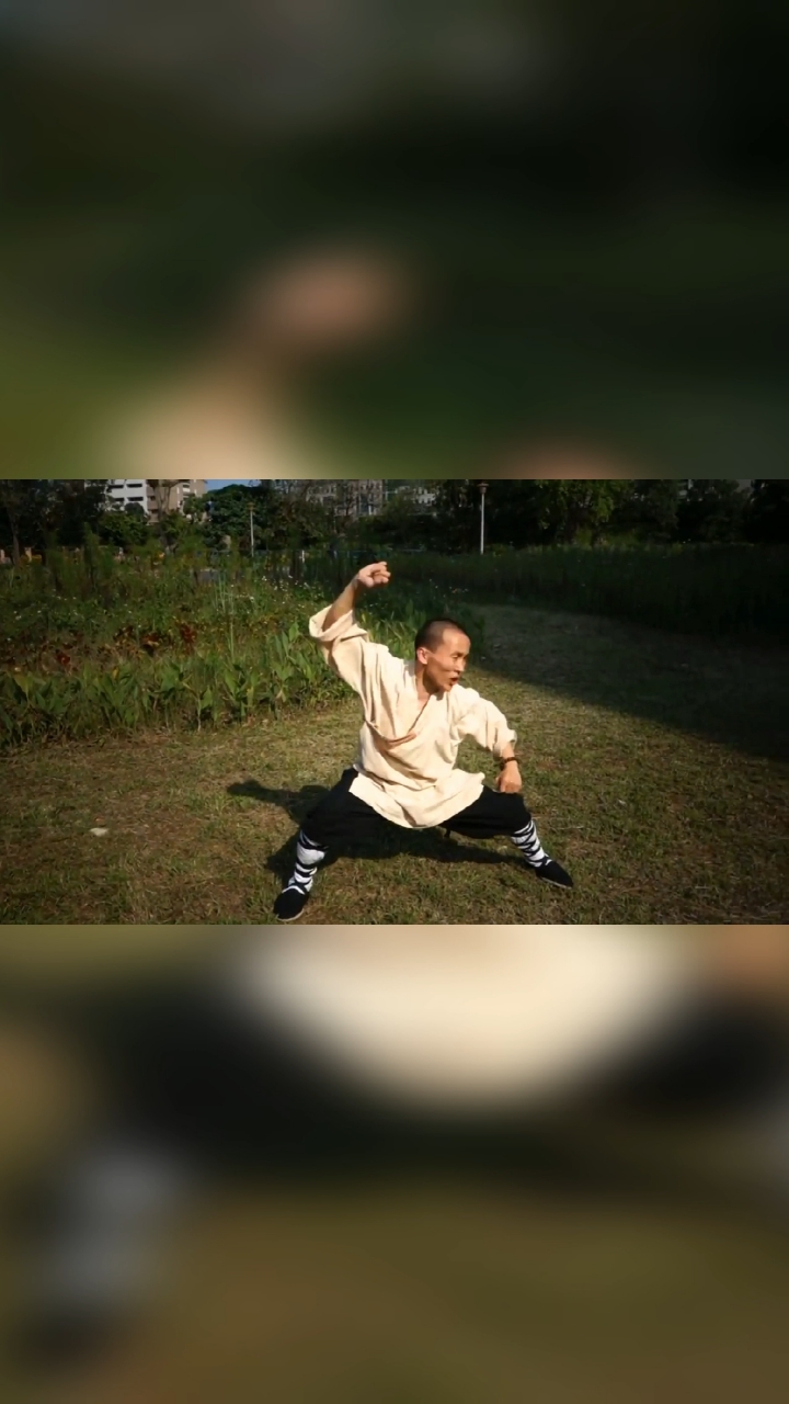 少林功夫#少林功夫传人王雷颖演练太祖长拳