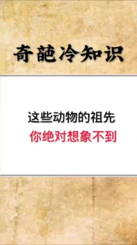 2021-09-09 来自安乐塔激昂的海狮1天前 最后一个叫卷尺鲨 回复 3 雅