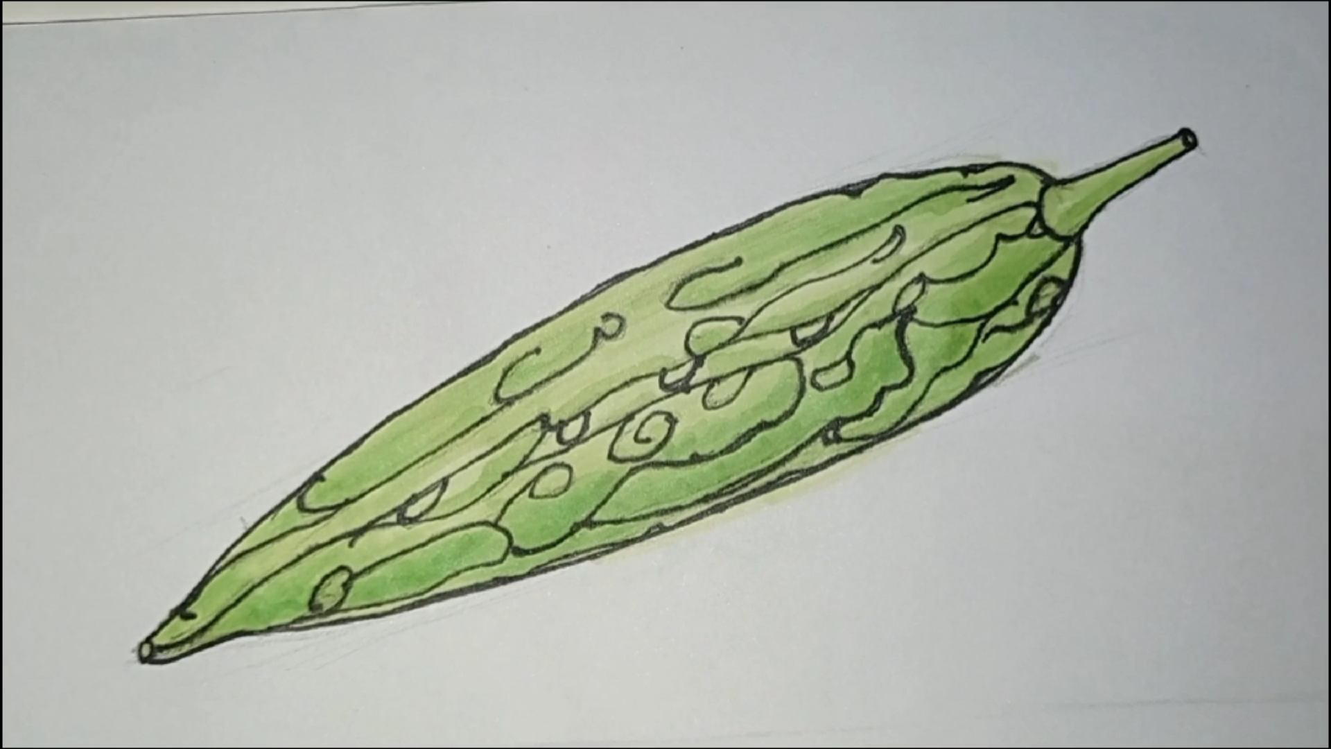 苦瓜也能热门#简笔画蔬菜苦瓜,苦尽甘来健康美妙!