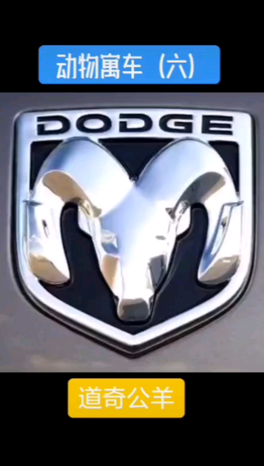 动物寓车~公羊头