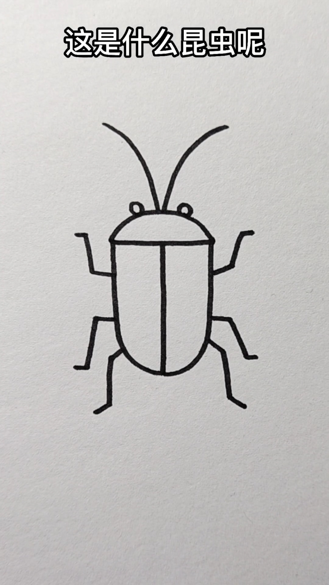 画画原来如此简单字母t画小昆虫简单易学的简笔画