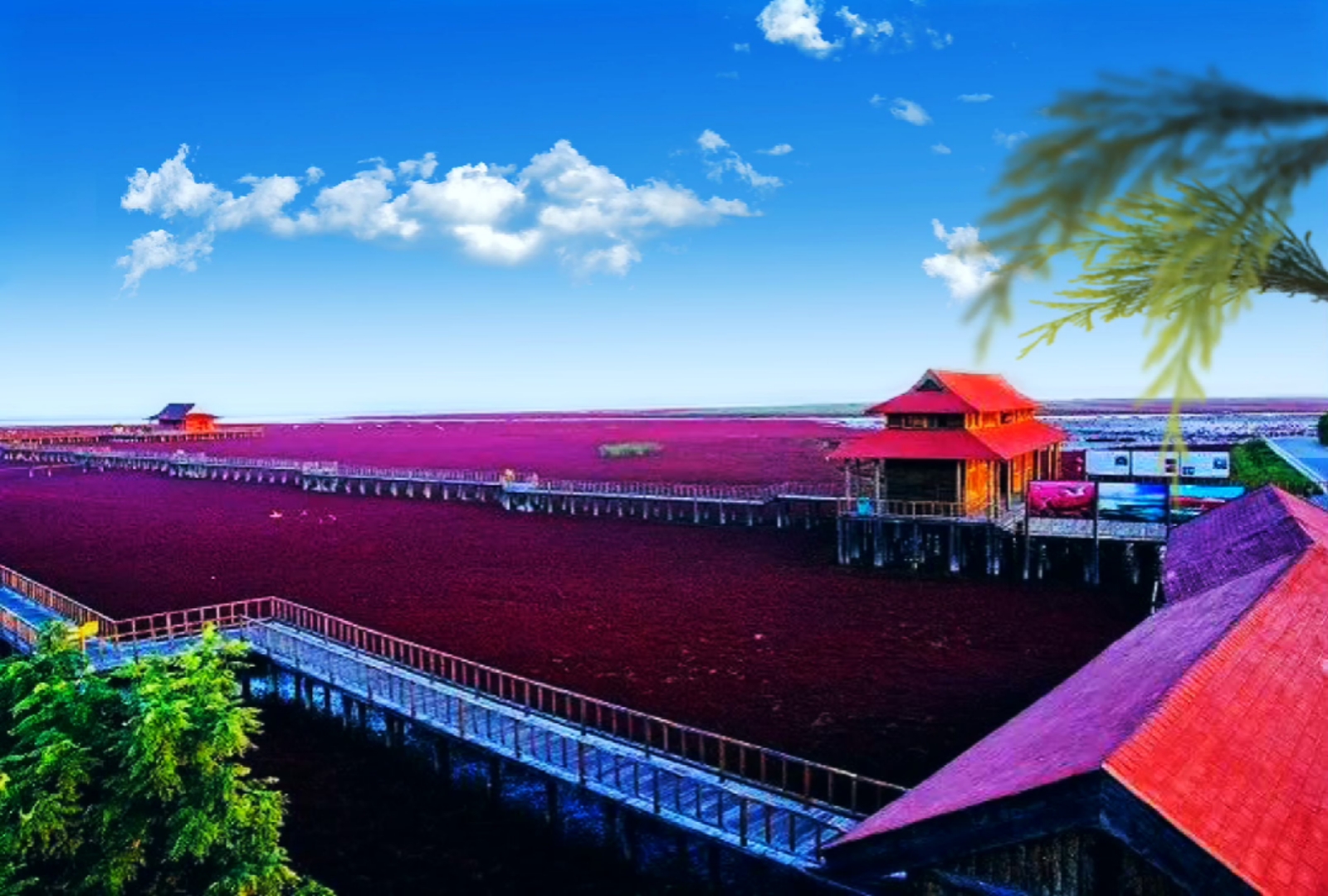 红海滩旅游风景区图片