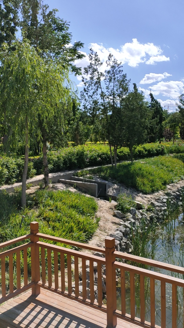 旅游进行时#武威市西郊公园的景色真不错!蓝天白云,小桥流水!