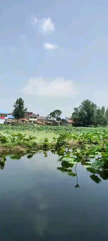 乡村生活#夏日午后