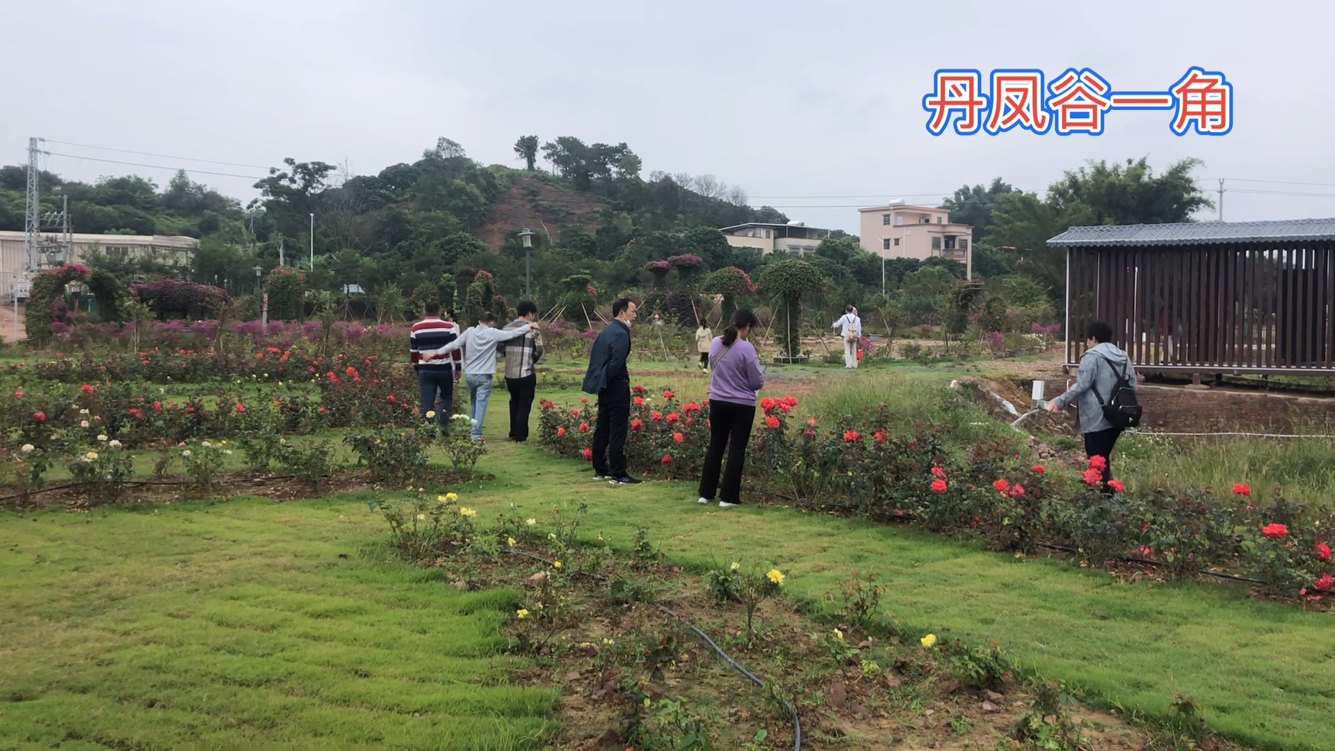 丹凤谷绿水青山鸟语花香