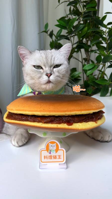 68万次播放.2022-04-272.4万料理猫王167.