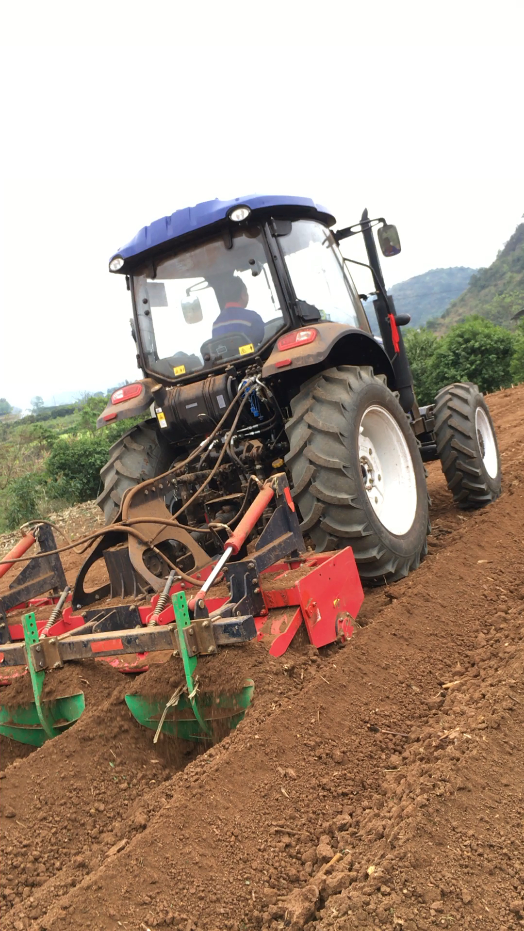 拖拉机#犁田种甘蔗,新买的拖拉机