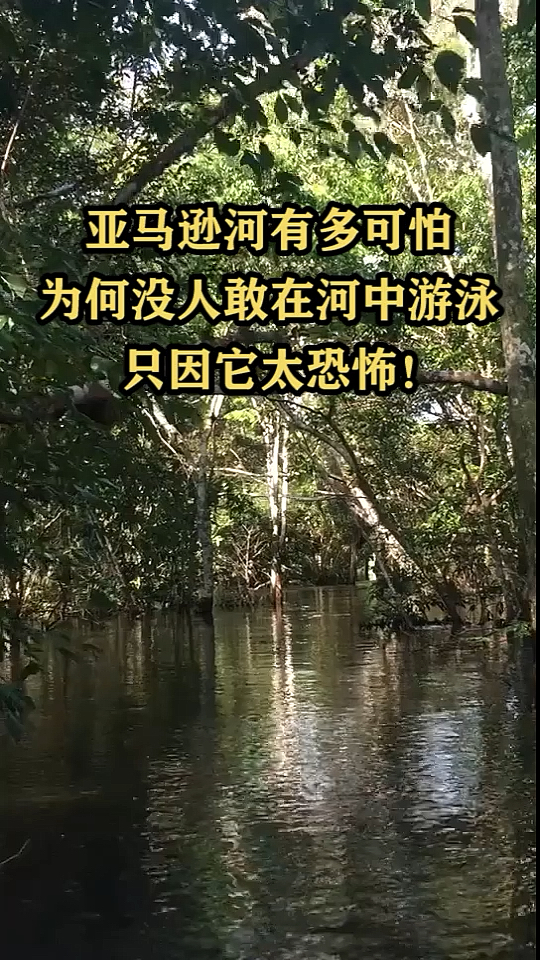 亞馬遜河有多可怕,為何沒人敢在河中游泳,只因它太恐怖!