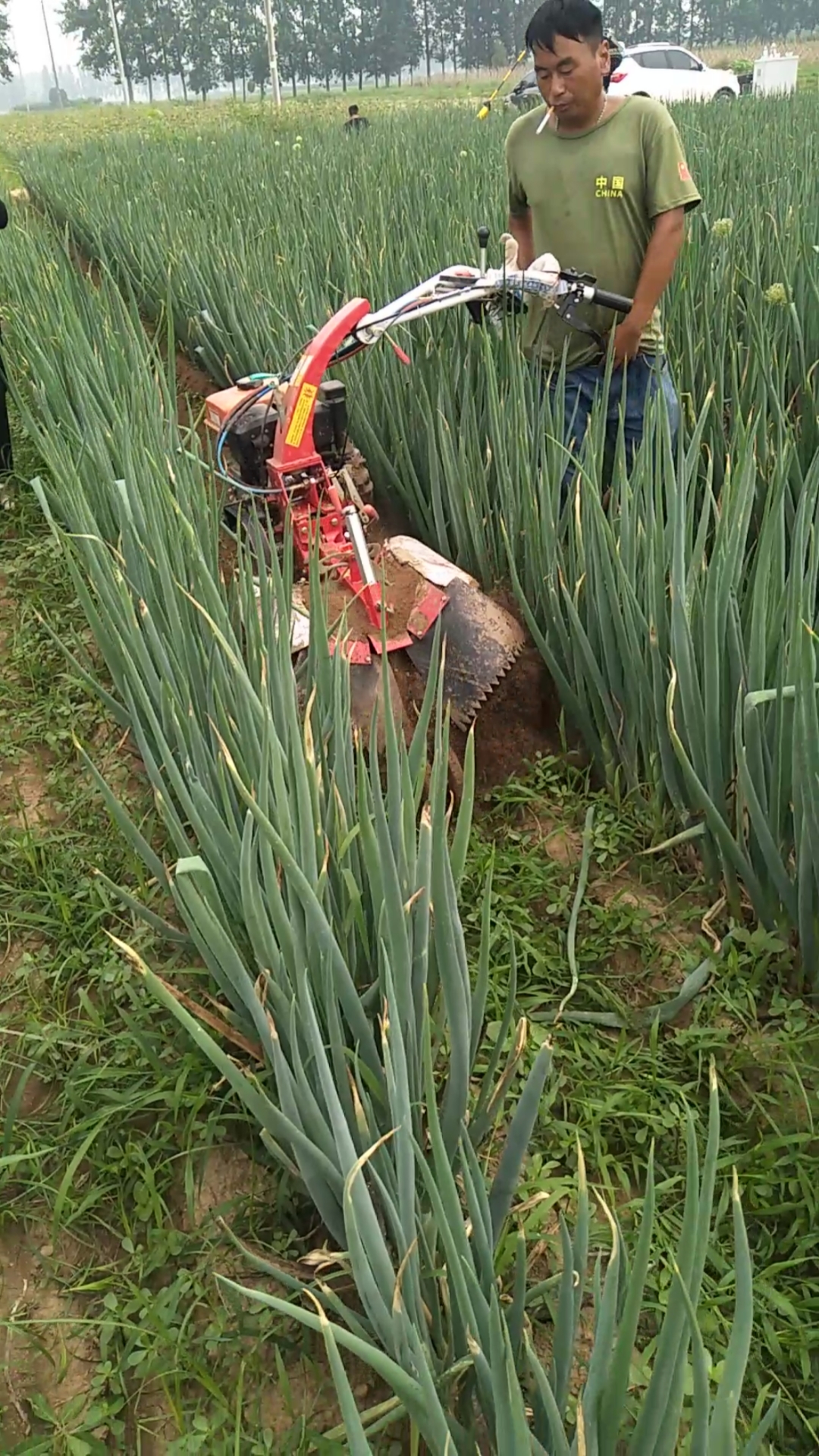 好物测评#大葱培土机开沟培土机多功能微耕机田园管理机培土机臣乙