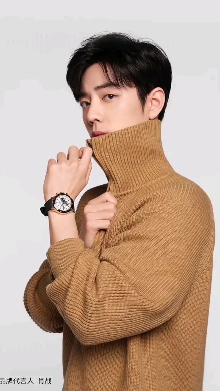 肖战肖战真力时品牌代言人