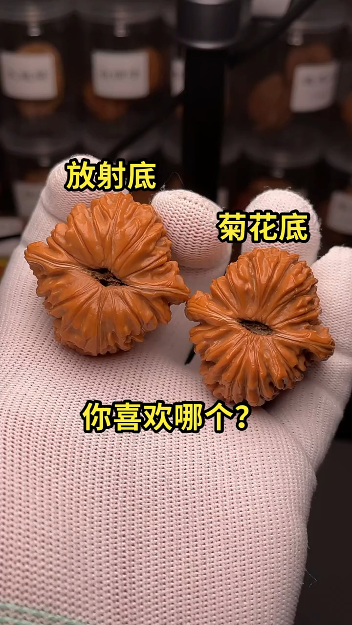 文玩核桃一个品种两种气门你更喜欢哪个