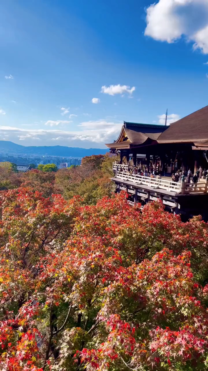 日本京都美景随拍