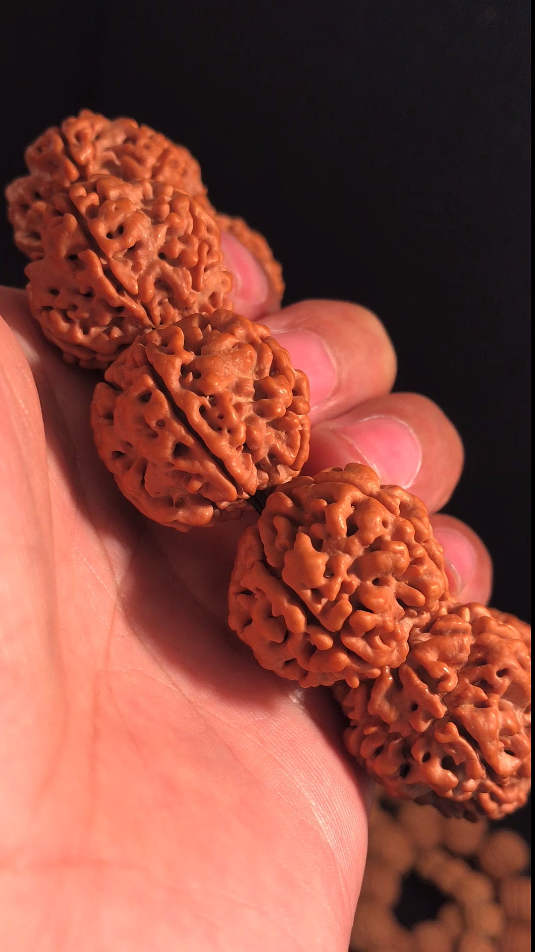 文玩核桃#五瓣梅花大金刚