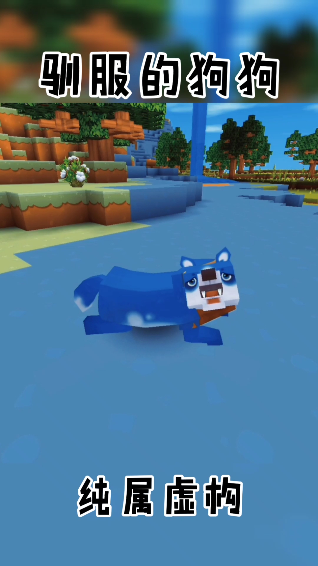 迷你世界驯服的狗真的是来保护我们的吗