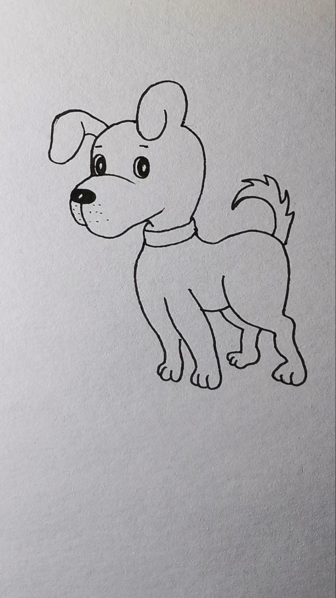 画一只可爱的小狗.啥品种?