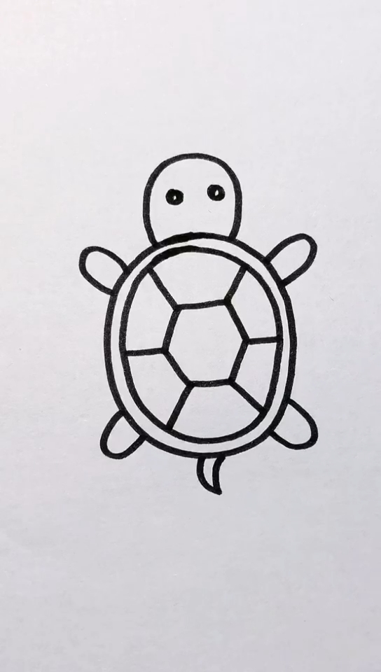 简笔画#小乌龟简笔画