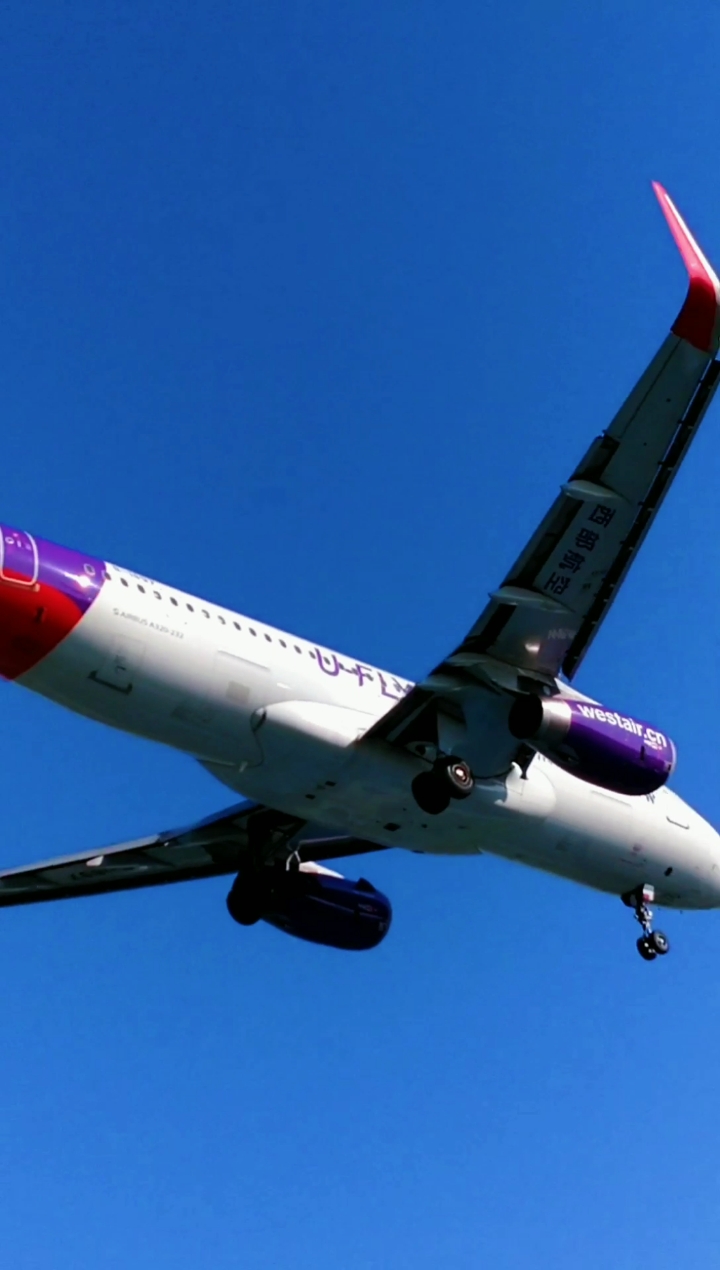 飞机这什么飞机飞这么低太吓人了吧你见过飞机这样子过马路吗