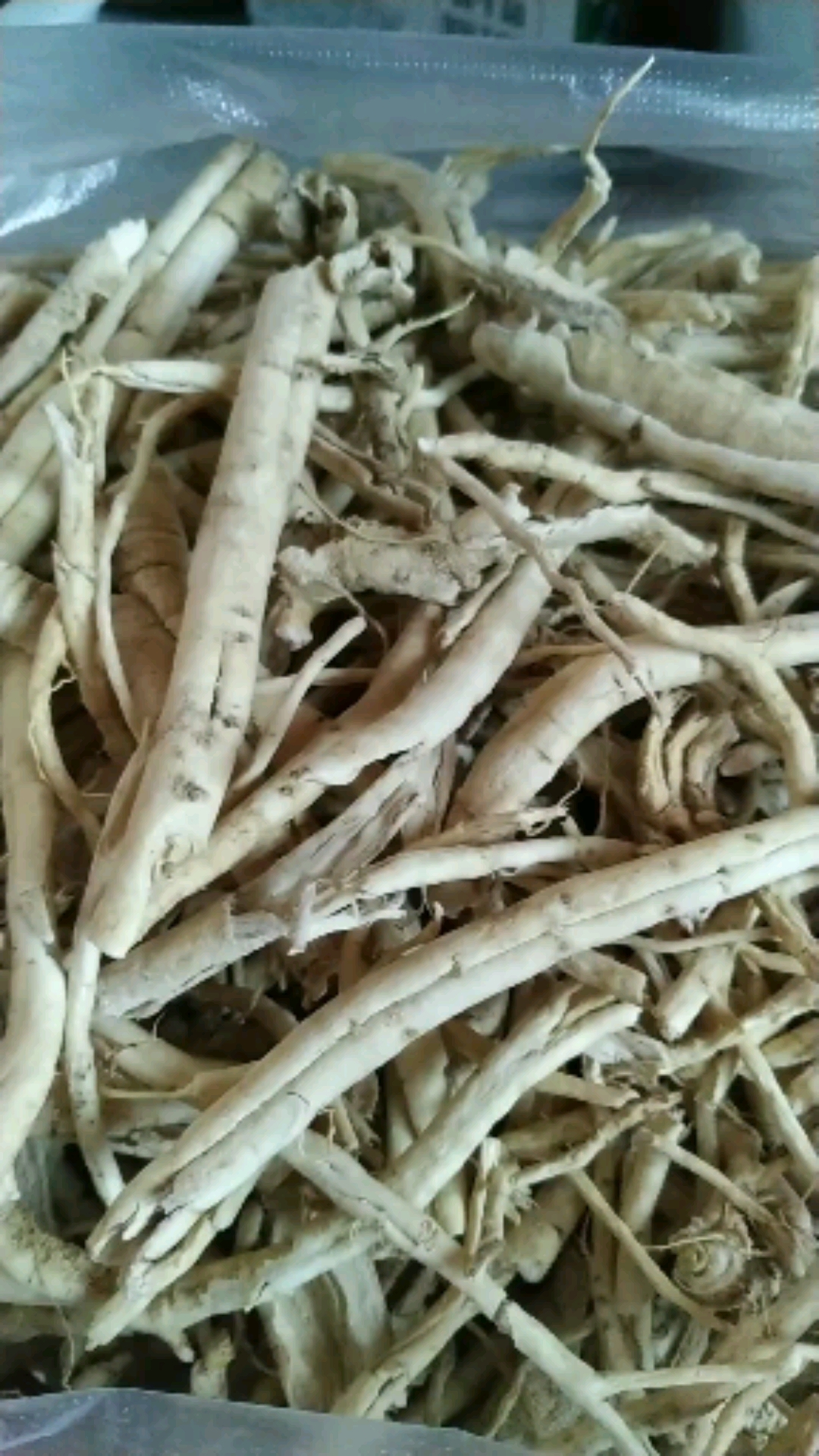 音为有你#这是野生中药材白鲜皮,农村老百姓喜欢管它叫八股牛.