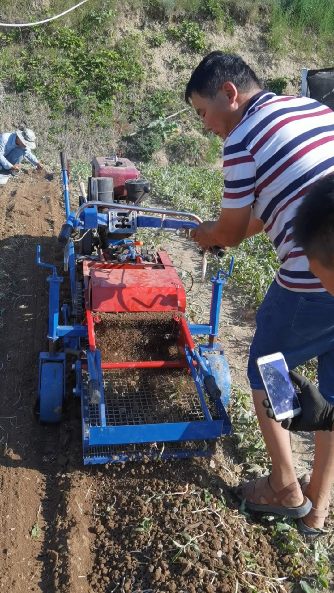 半夏收获机甘肃汪川镇实验成功
