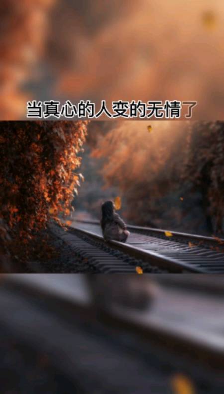 音为有你#人为什么会变,不懂我的人,就不要说我变了,是你们的态度让