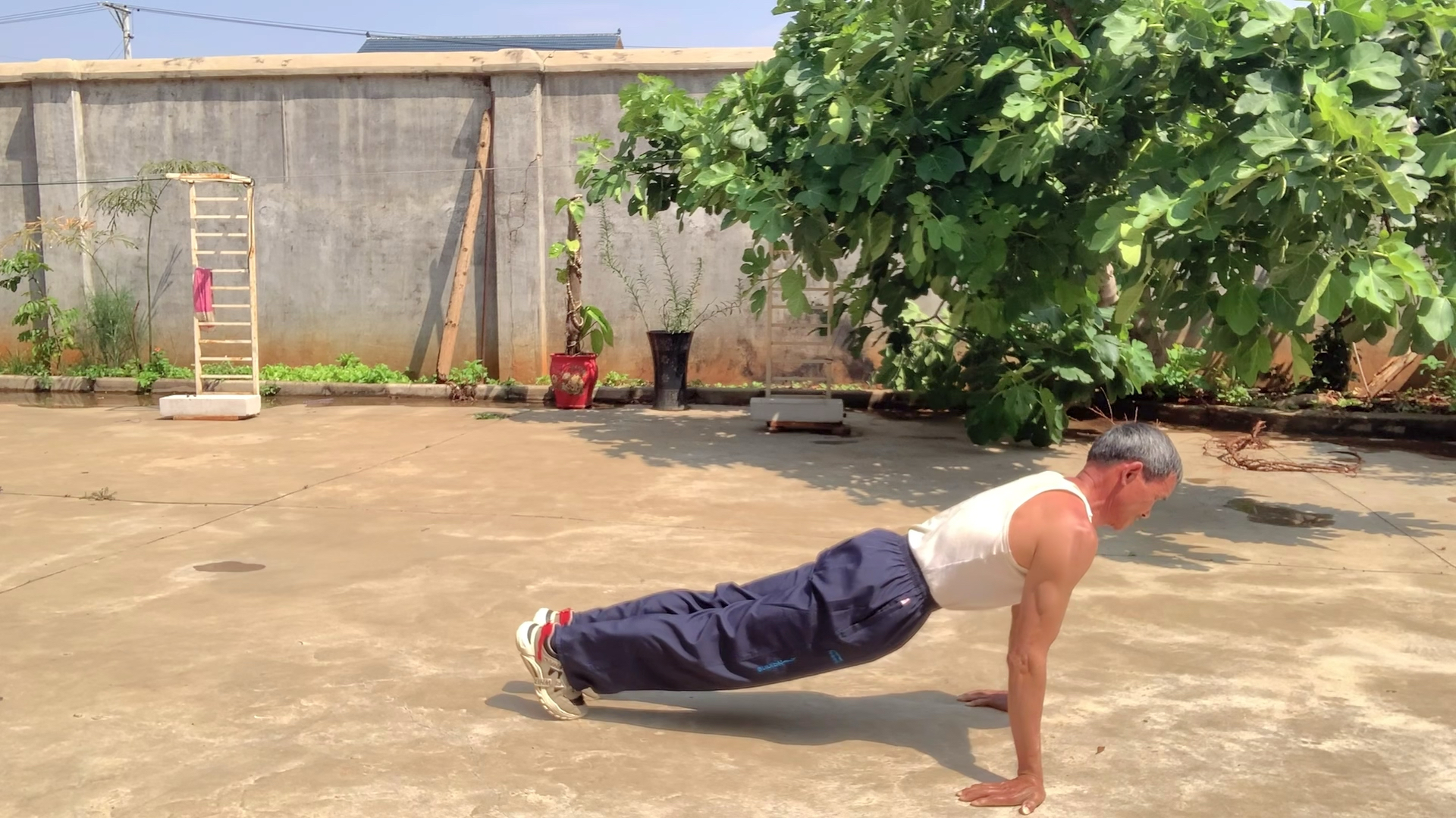 66岁,在做反手俯卧撑,一组做20个