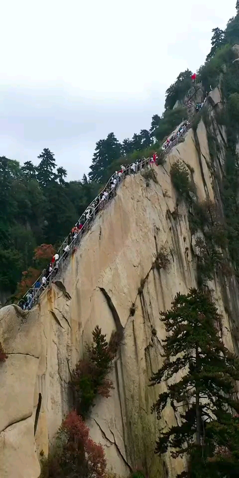 自古华山一条道爬到山顶才能感受到大自然的召唤力