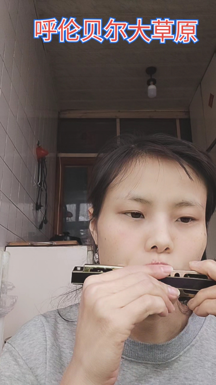 口琴吹奏呼伦贝尔大草原刚学的曲子感谢聆听