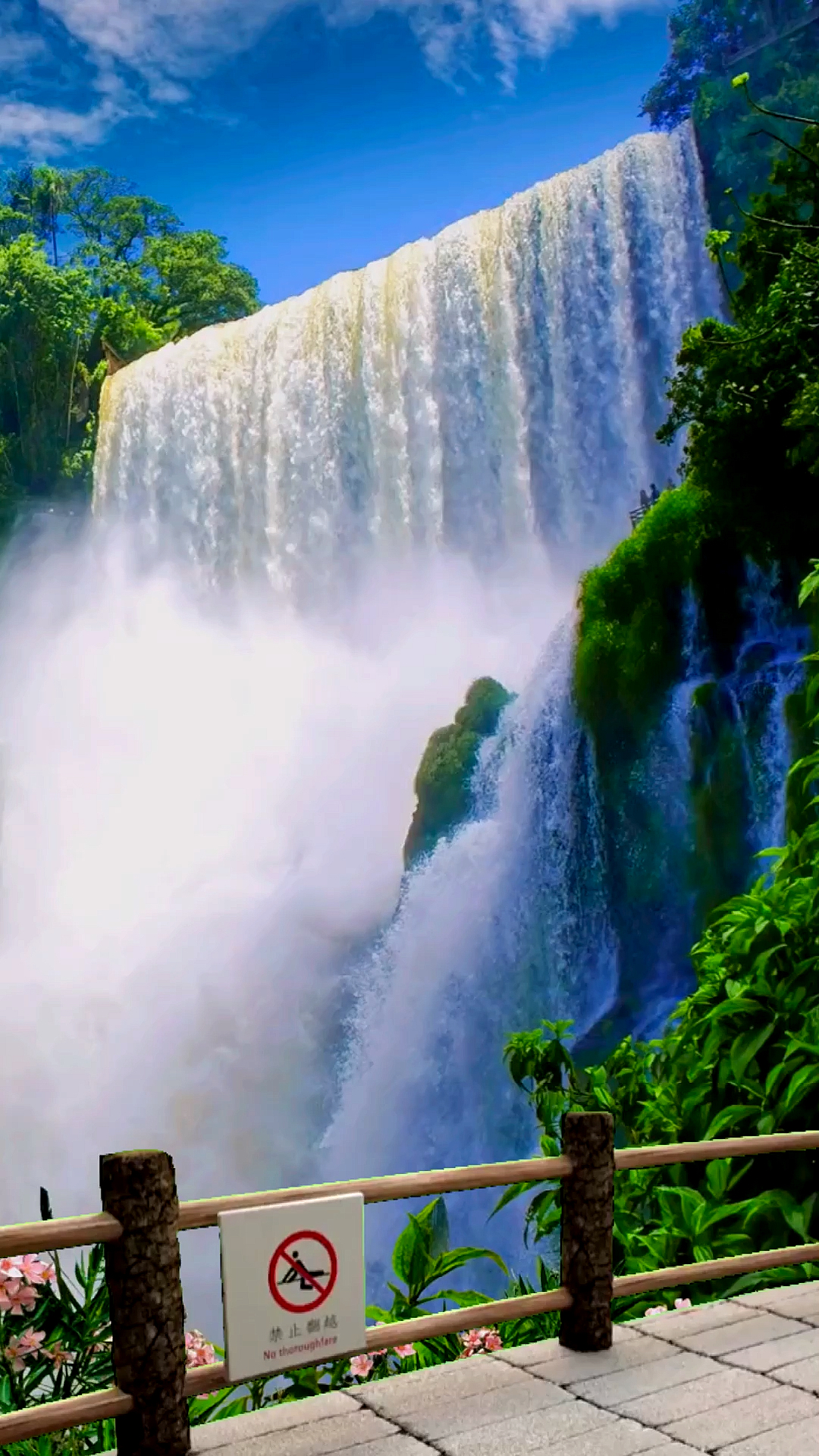 最美的风景#一不小心又误入了仙境