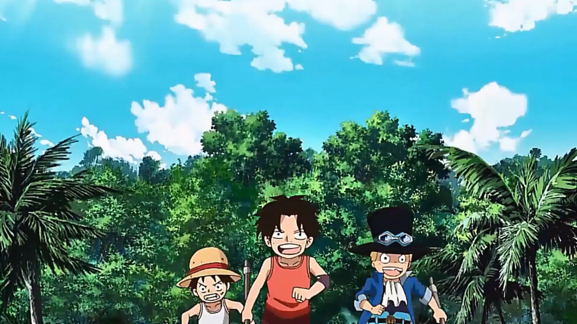 海贼王#水管三兄弟