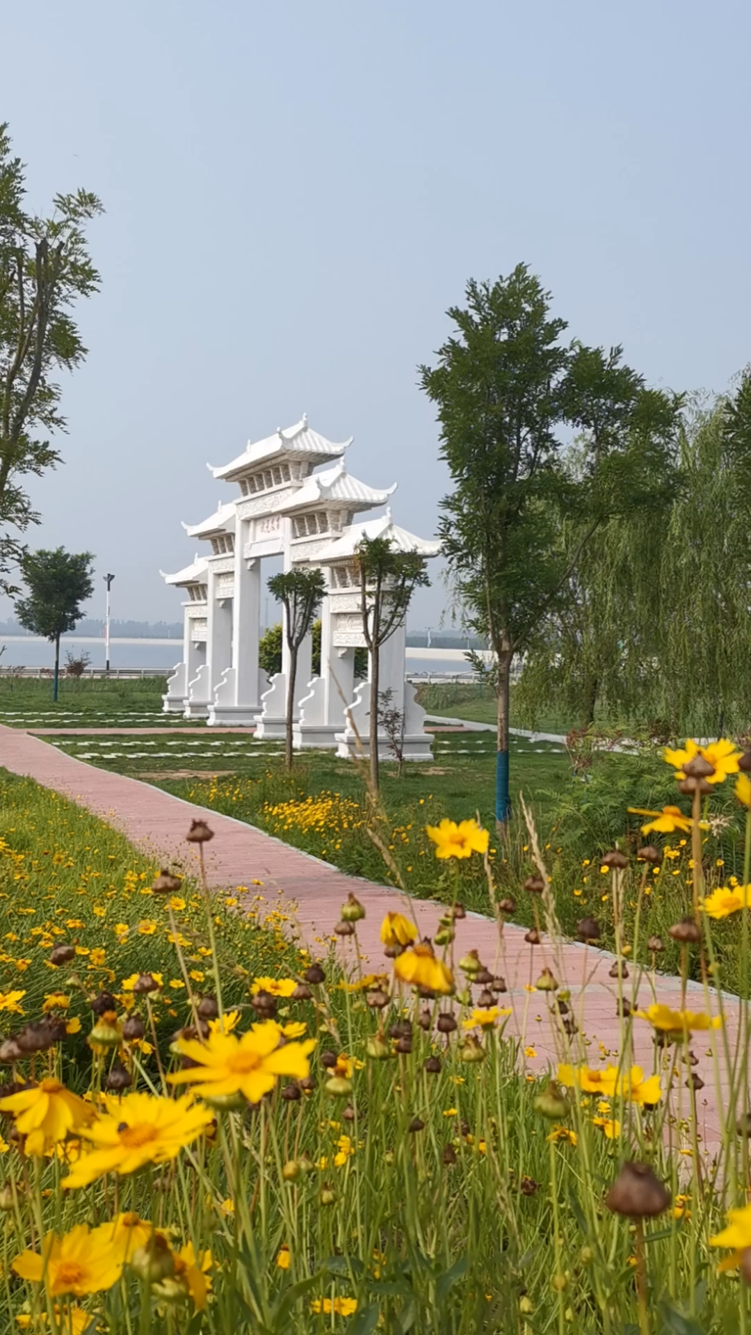 状元湖公园散步,清澈的湖水,干净优雅的环境,令人心旷神怡