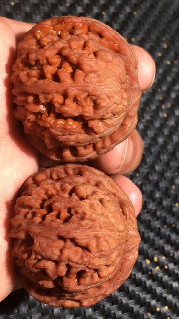 文玩核桃#经典红皮,老树和尚头狮子头,边41肚40高36,全品无修,圆球形