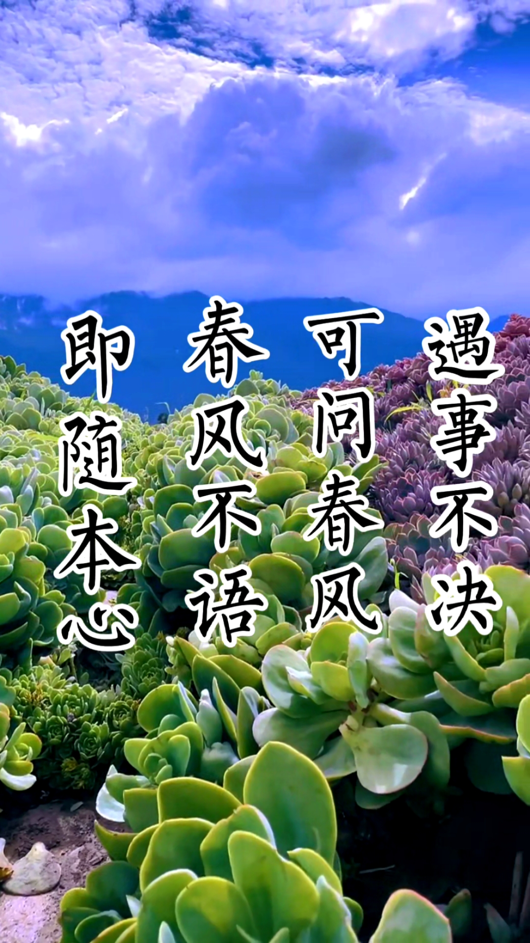 佛系生活#遇事不决,可问春风,春风不语,即随本心