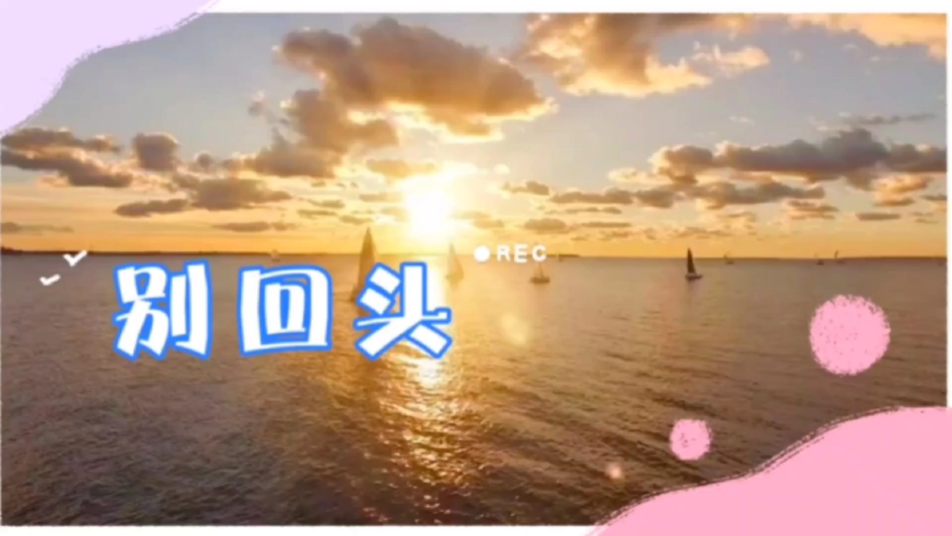 别回头,身后千灯万盏,都不是归处,往自己心里感到踏实的地方走,不会错