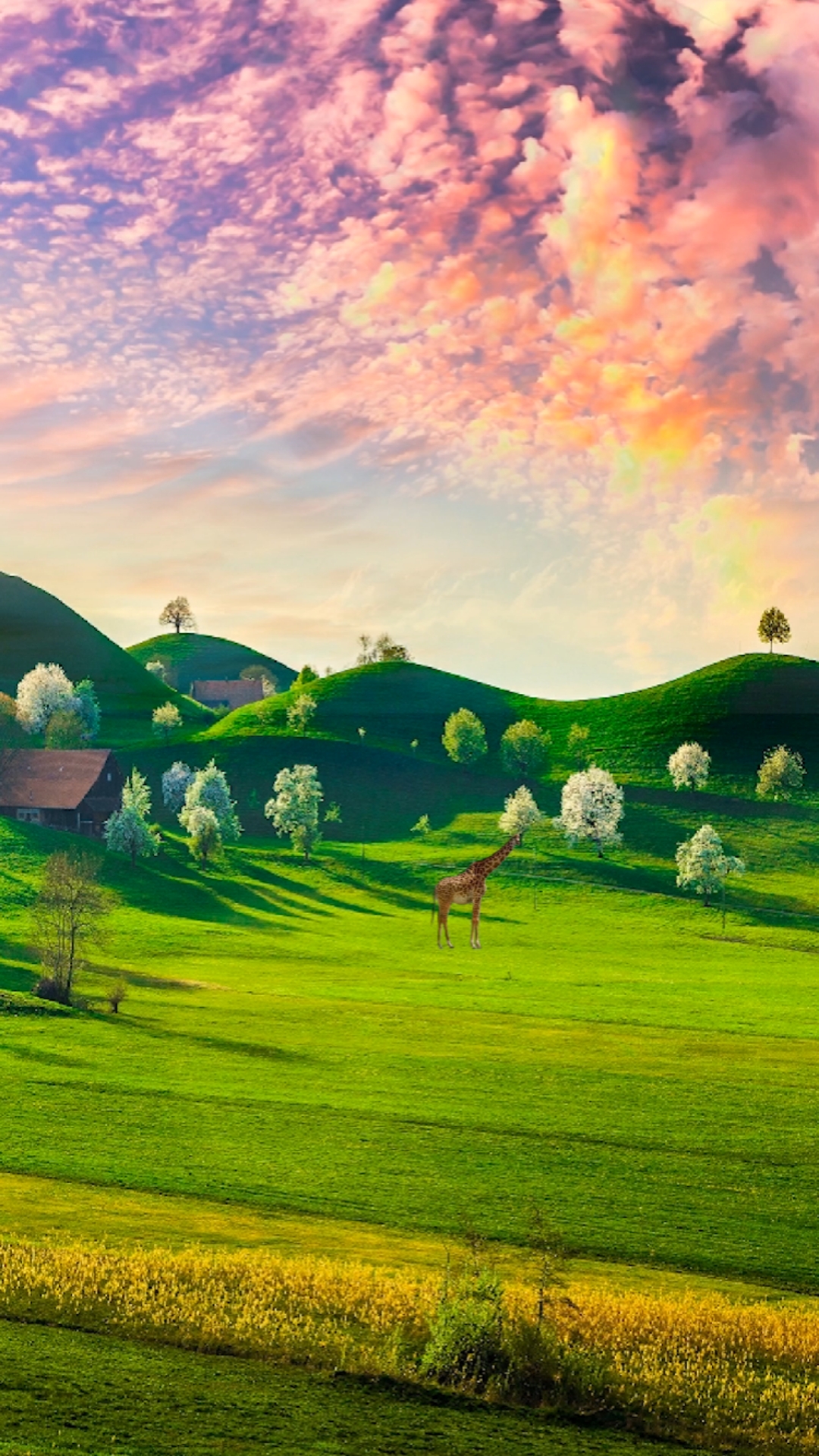 春日野餐好去处#故乡的原风景