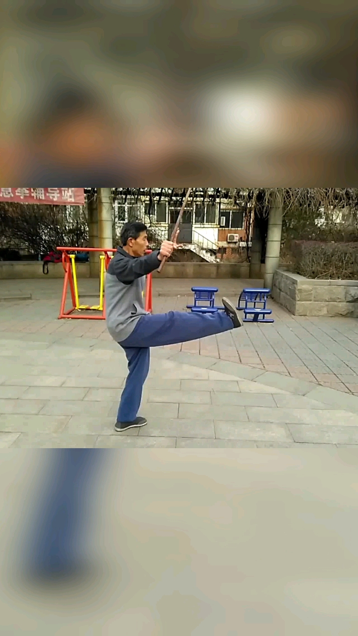 形意拳#河北形意拳传人郑学文演练的形意连环刀