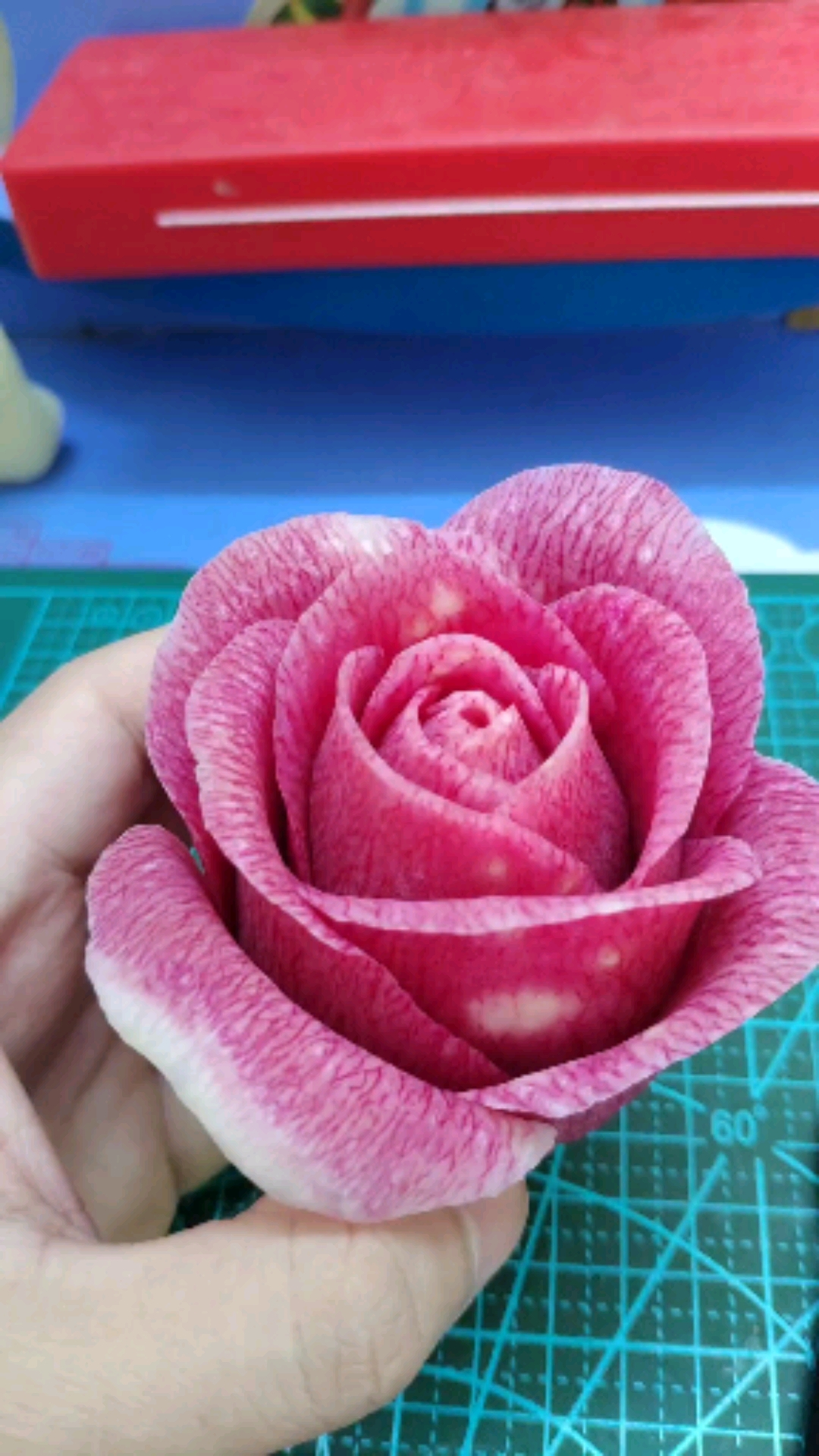 心里美萝卜雕刻月季花二十六集结束.七星级酒店教学送给大家.