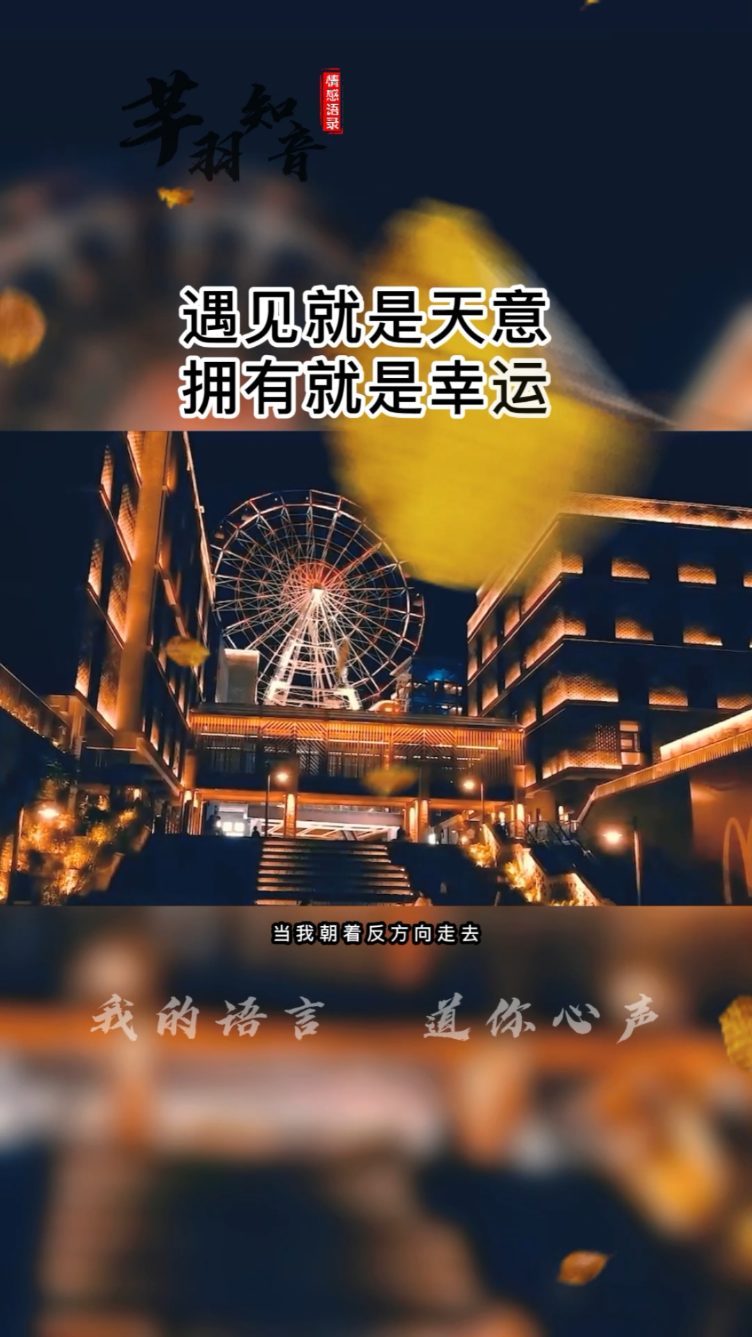 情感故事#遇见就是天意,拥有就是幸运,我懂你的不易,你懂我的心酸
