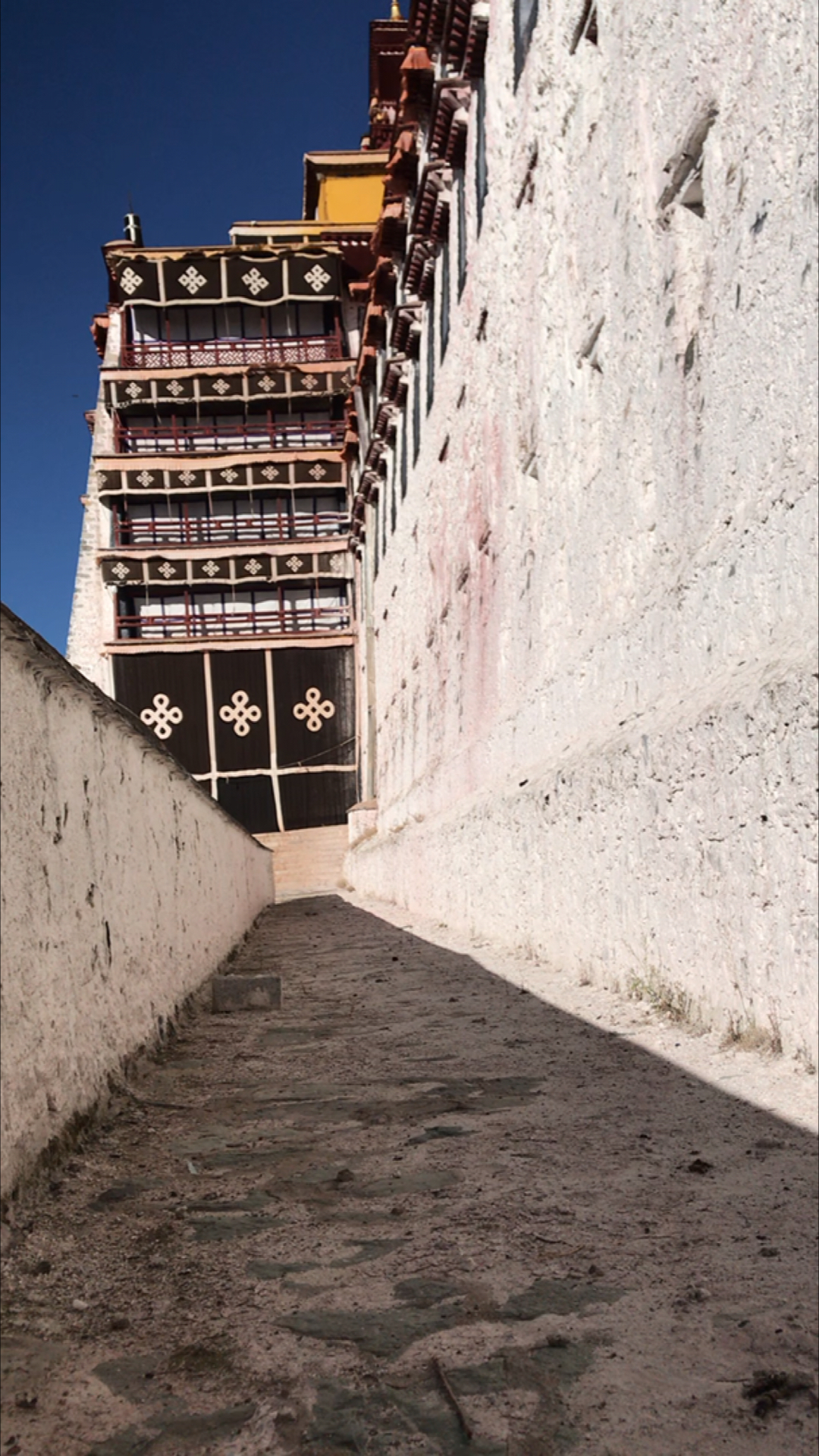 戴上你的圣诞帽#布达拉宫牛奶墙