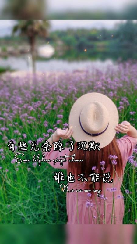 有些事情除了自己谁也不会懂,有些无奈除了沉默,谁也不能说