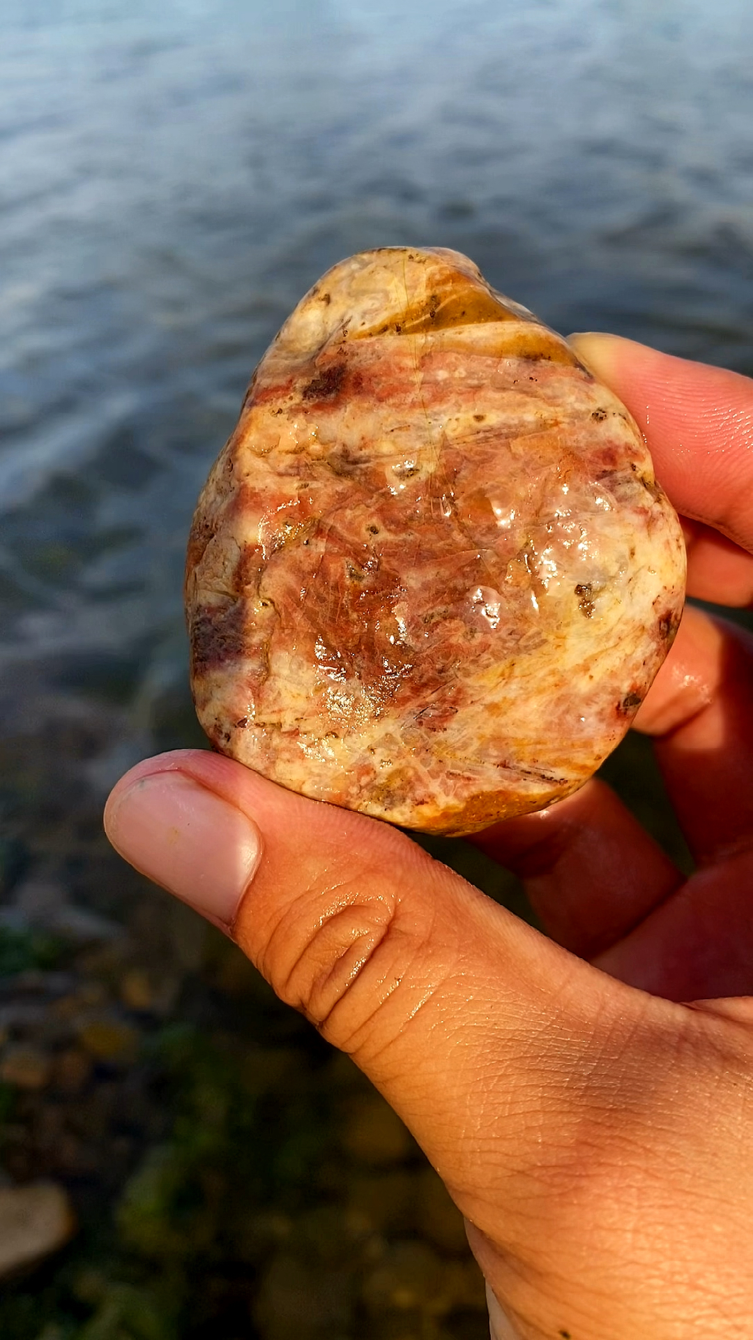 漂亮的石头#河里捡到的小石头.