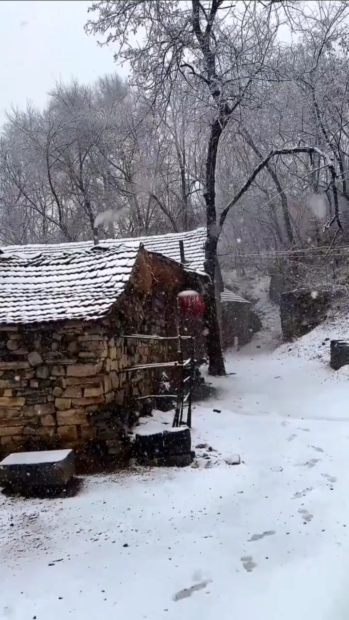 乡村生活#看到这样的场景就想到小时候,虽然穷,但很快乐!