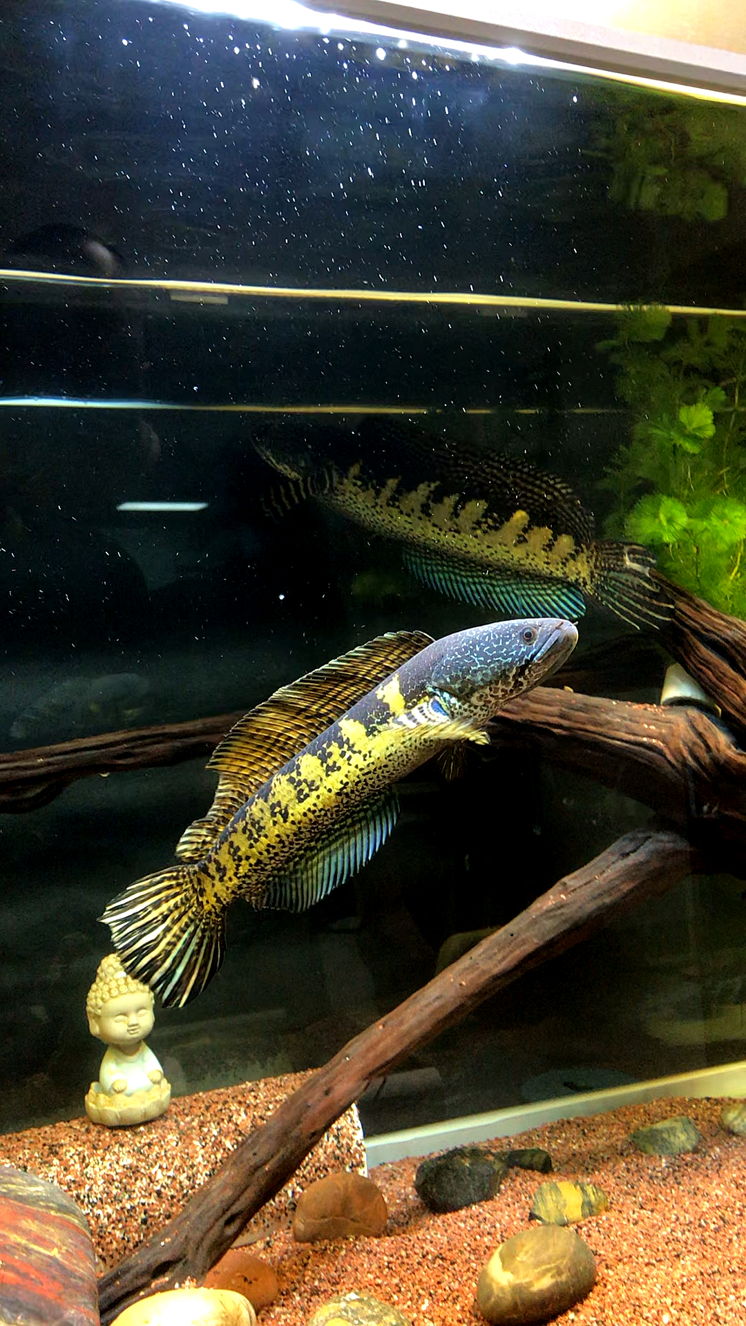 1080_1920竖版 竖屏