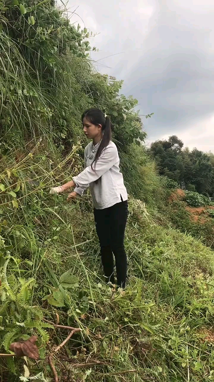 我们农村女孩不怕苦不怕累就怕被辜负不嫌你穷可以不要车不要房只想对