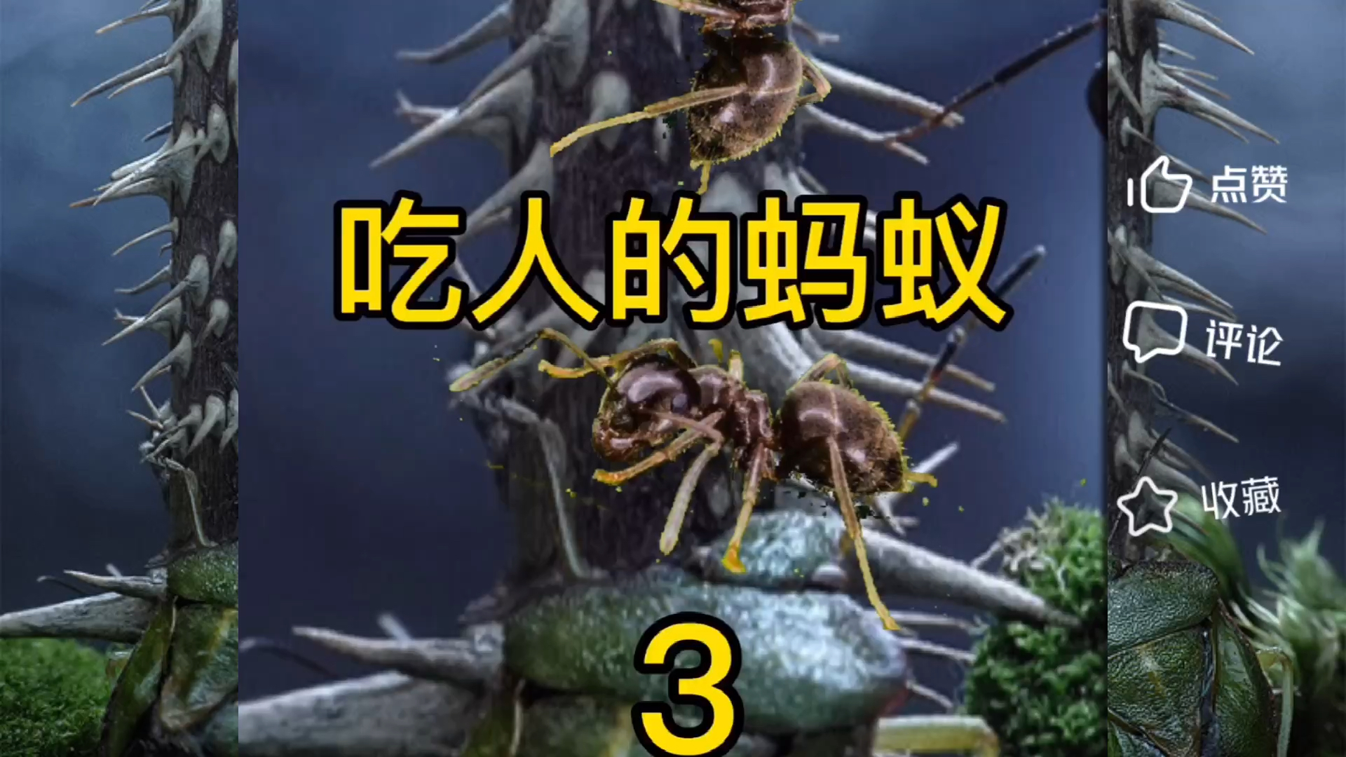 民间故事#食动物和人的蚂蚁(第三集完)后续故事更精彩…-全民小视频