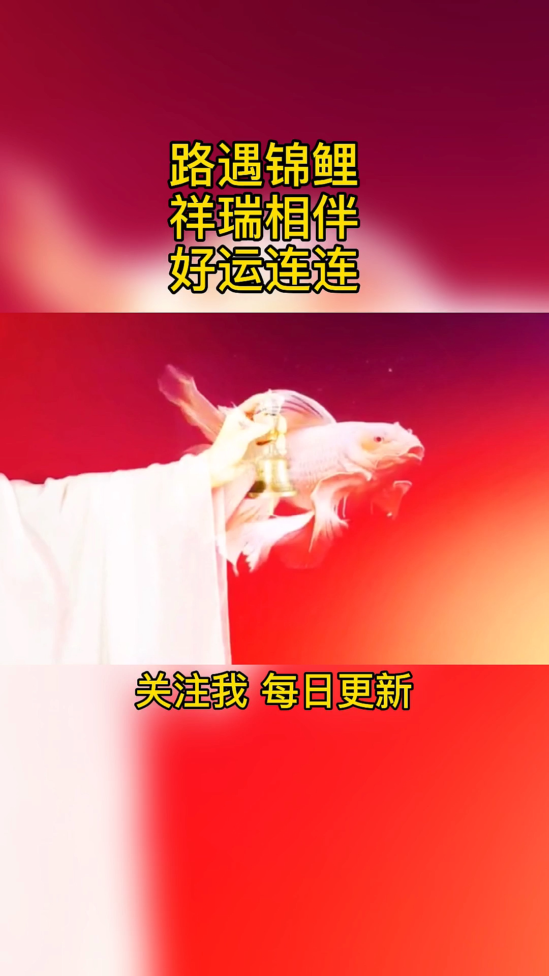 阿尔法脑波音乐#路遇锦鲤祥瑞相伴好运连连见者有福