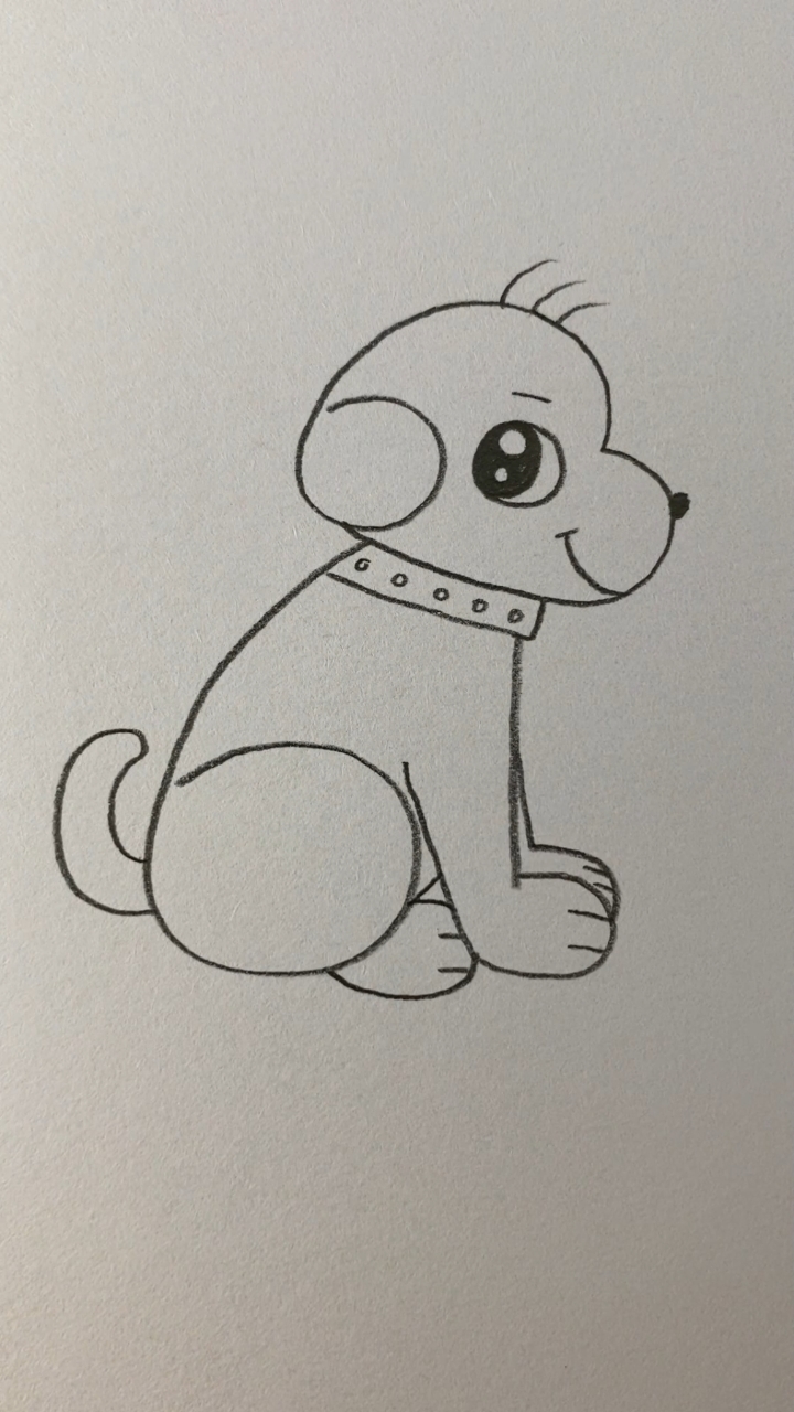 用667画正在看着你的小狗