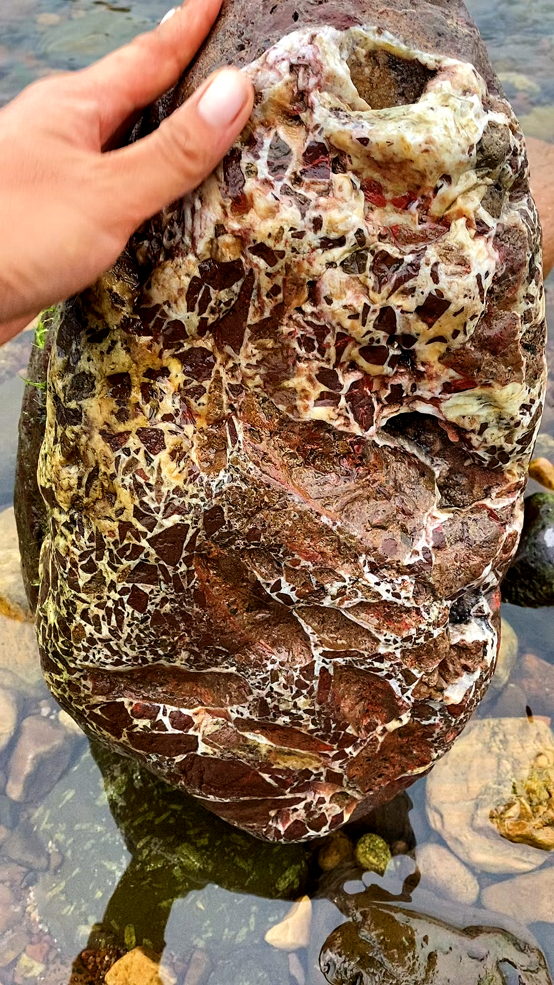 捡石头#河里捡到一块渔网般的石纹的石头